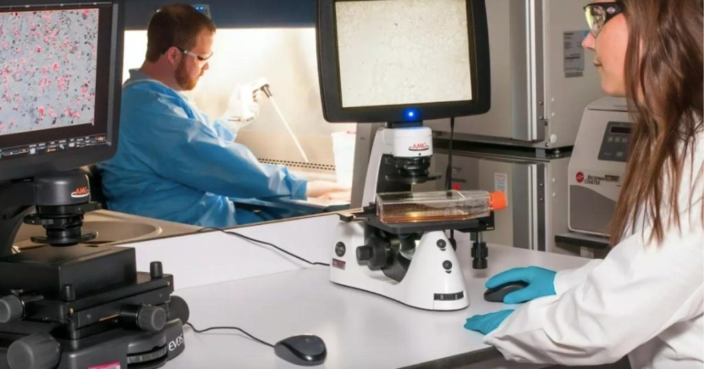 The Benefits of Medical Breakthroughs Recommended by Experts